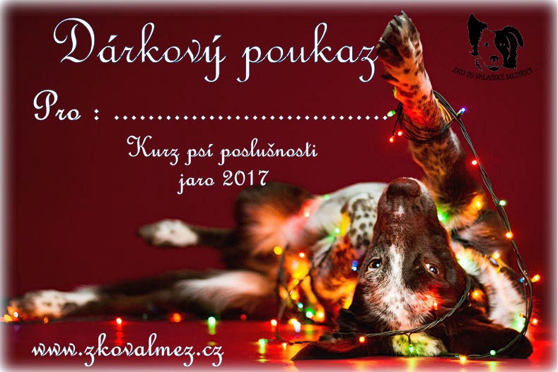 i-took-christmas-themed-dog-portraits-to-wish-you-happy-holidays-3__880.jpg